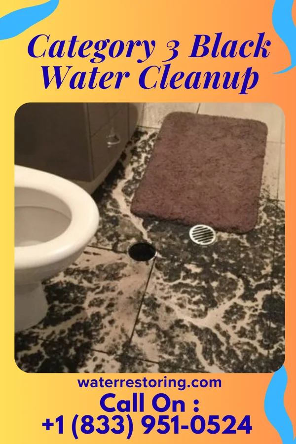Category 3 Black Water Cleanup in North Merrick, NY