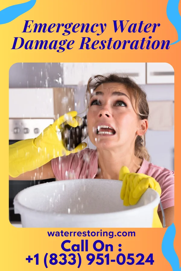 Emergency Water Damage Restoration in North Merrick, NY