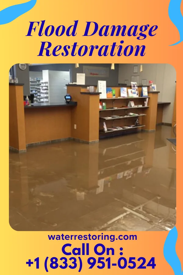 Flood Damage Restoration in North Merrick, NY