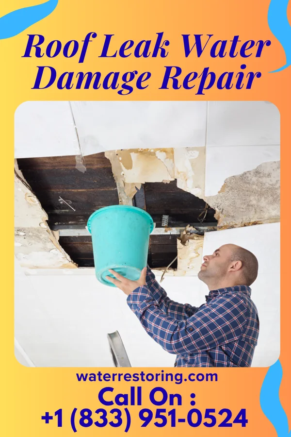 Roof Leak Water Damage Repair in North Merrick, NY